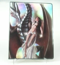 9 Pocket Portfolio Lady & Dragon