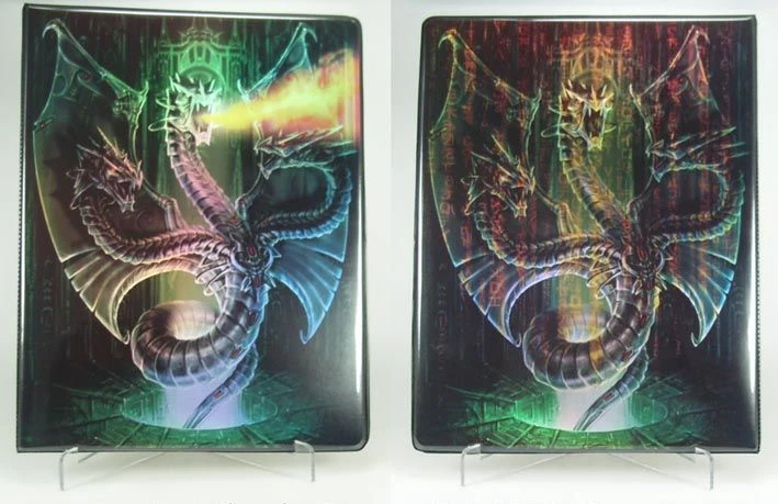 9 Pocket Portfolio Matrix Dragon 1 9 Pocket Portfolio Matrix Dragon