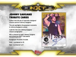 Topps - WWE NXT Hobby Booster Display 2020 (EN) -Spielzeugverkauf 2020 topps wwe nxt 4