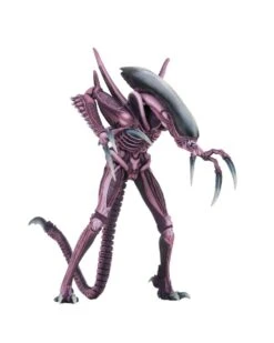 NECA Aliens Vs Predator (Arcade) Razor Claws Actionfigur 5 NECA Aliens Vs Predator (Arcade) Razor Claws Actionfigur -Spielzeugverkauf 51677 2
