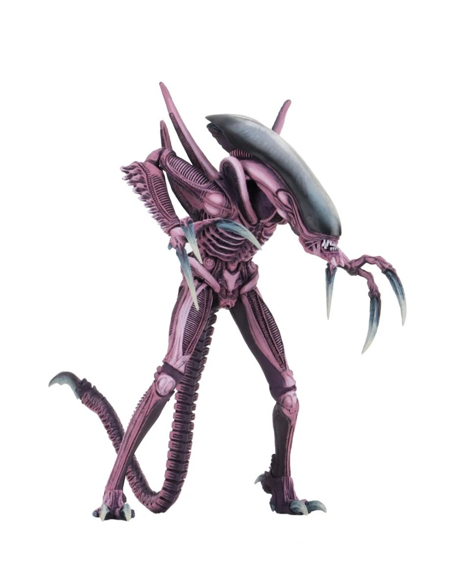 NECA Aliens Vs Predator (Arcade) Razor Claws Actionfigur 3 NECA Aliens Vs Predator (Arcade) Razor Claws Actionfigur – Bild 3