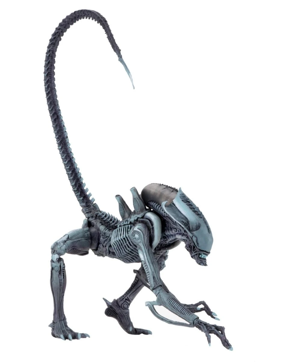 NECA Alien Vs Predator (Arcade) - Arachnoid Actionfigur 2 NECA Alien Vs Predator (Arcade) - Arachnoid Actionfigur – Bild 2