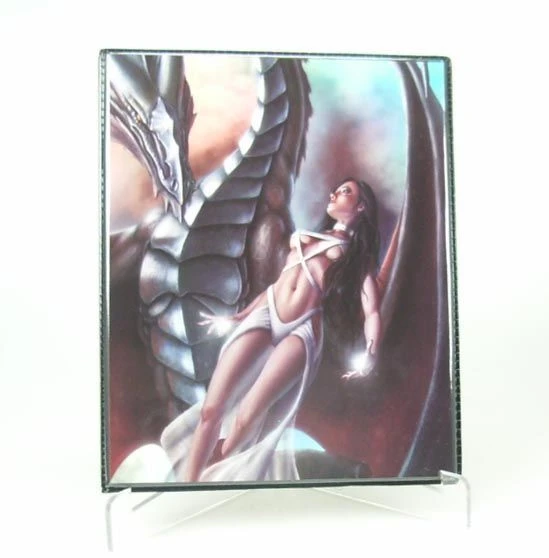 4 Pocket Portfolio Lady & Dragon 1 4 Pocket Portfolio Lady & Dragon