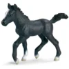 SCHLEICH - Farm Life, Lipizzaner Fohlen