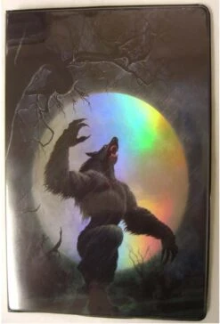 9 Pocket Portfolio Full Moon