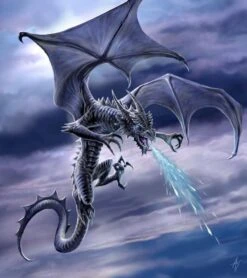 Swooping Dragon Protectors