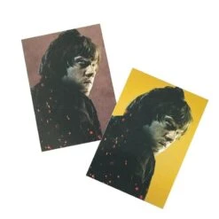 Panini Harry Potter Evolution Trading Cards Starterset (EN) -Spielzeugverkauf harry potter cards 2021 beispiel gold parallel3qle1q6i45ayd 2