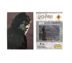 Panini Harry Potter Evolution Trading Cards Starterset (EN) -Spielzeugverkauf harry potter cards 2021 beispiel rueckseite 2