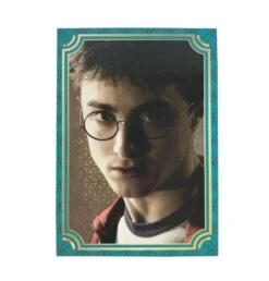 Panini Harry Potter Evolution Trading Cards Booster Display (EN) -Spielzeugverkauf harry potter evolution basecard
