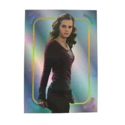 Panini Harry Potter Evolution Trading Cards Booster Display (EN) -Spielzeugverkauf harry potter evolution silver parallel